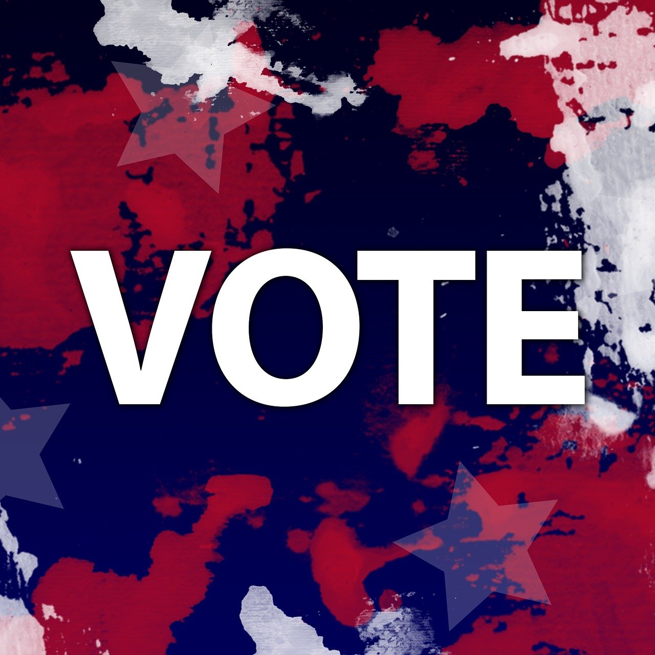 vote, election, politics